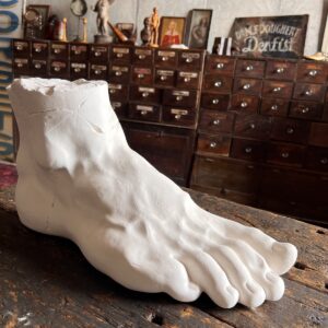 20th Century Plaster Foot of David By Michelangelo